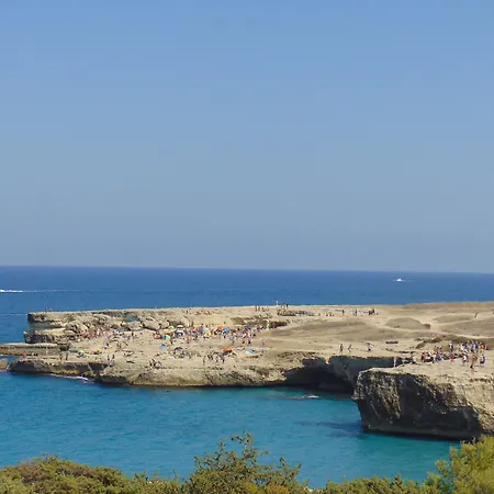 Oasis Park 3*