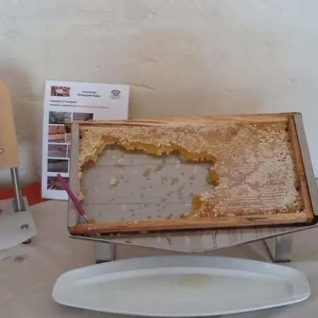 Oasis Park Torre dell'Orso